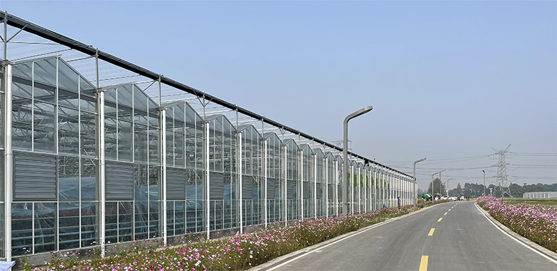 5- I-Glass greenhouse eduze nezinto zokuhamba