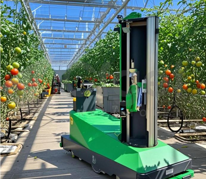 Chengfei Greenhouse