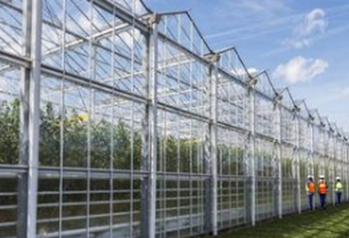 ChengfeiGreenhouse