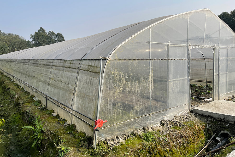 Kibiashara-Greenhouse