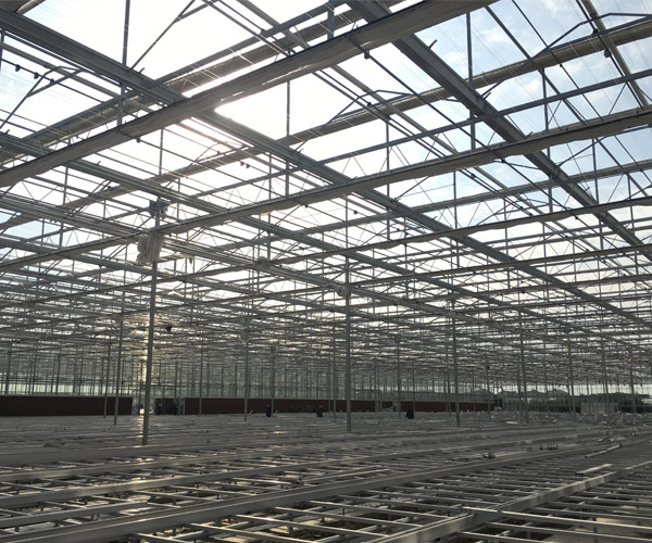 Glass Greenhouse 4