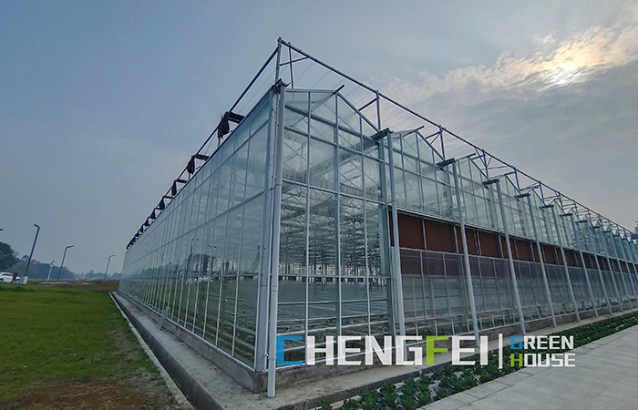 I-Glass-greenhouse