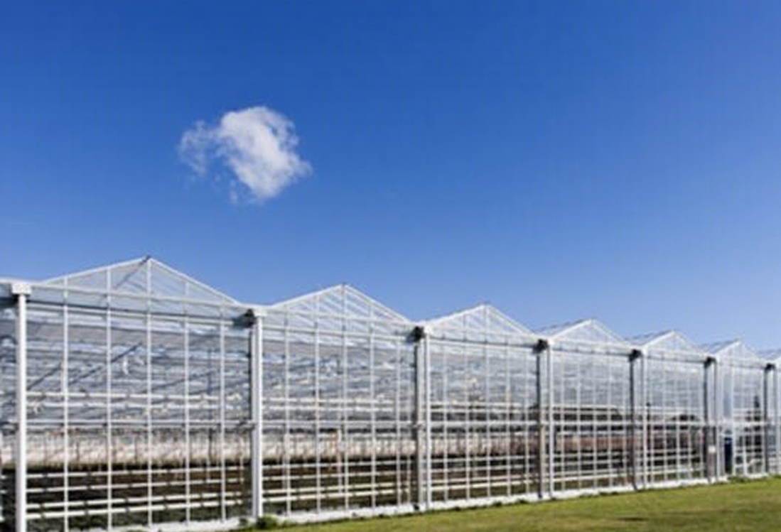 GlobalAgriculture