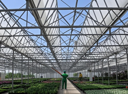 Greenhouse