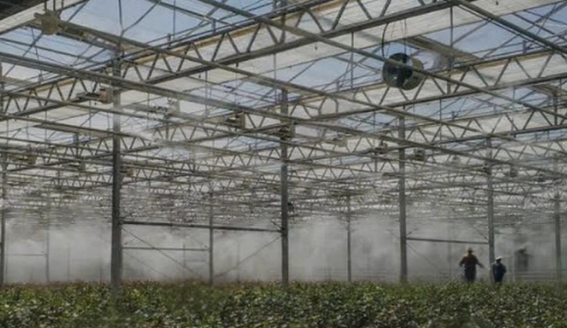 GreenhouseCaseStudies