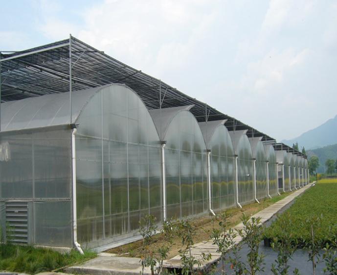 GreenhouseFarming