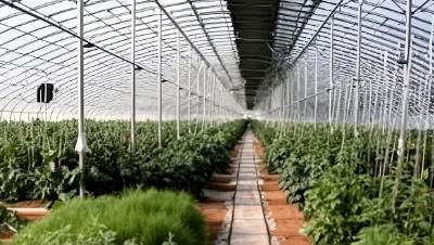 GreenhousePestManagement