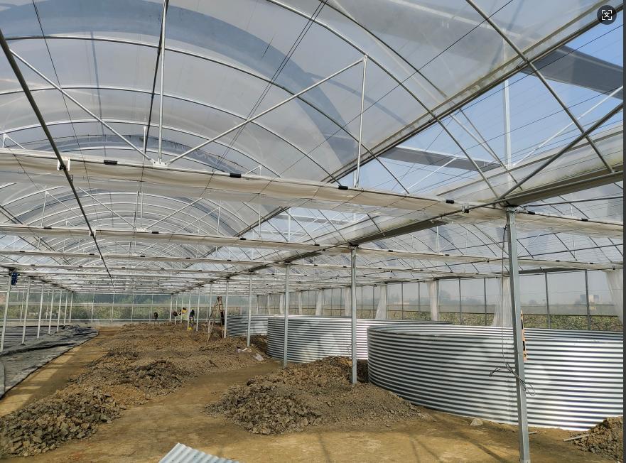 Integrated Pest Management