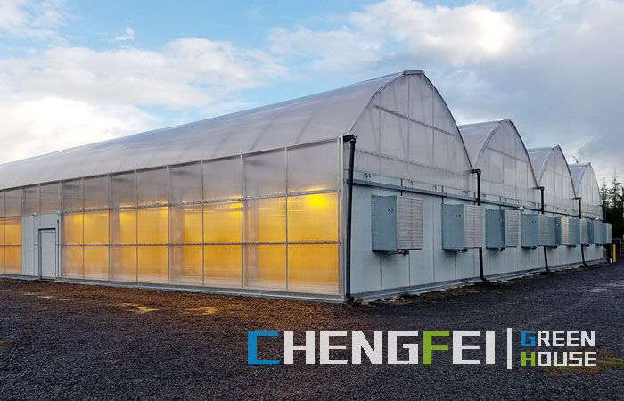 Kakulangan sa kahayag-greenhouse