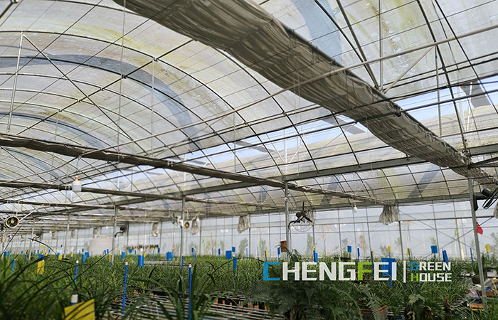Multi-span-cag-filim-greenhouse-for-geedo