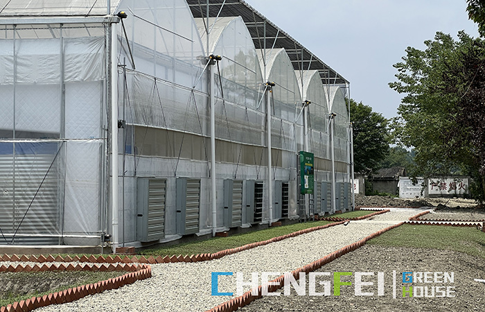 Multi-span-roba-fim-greenhouse