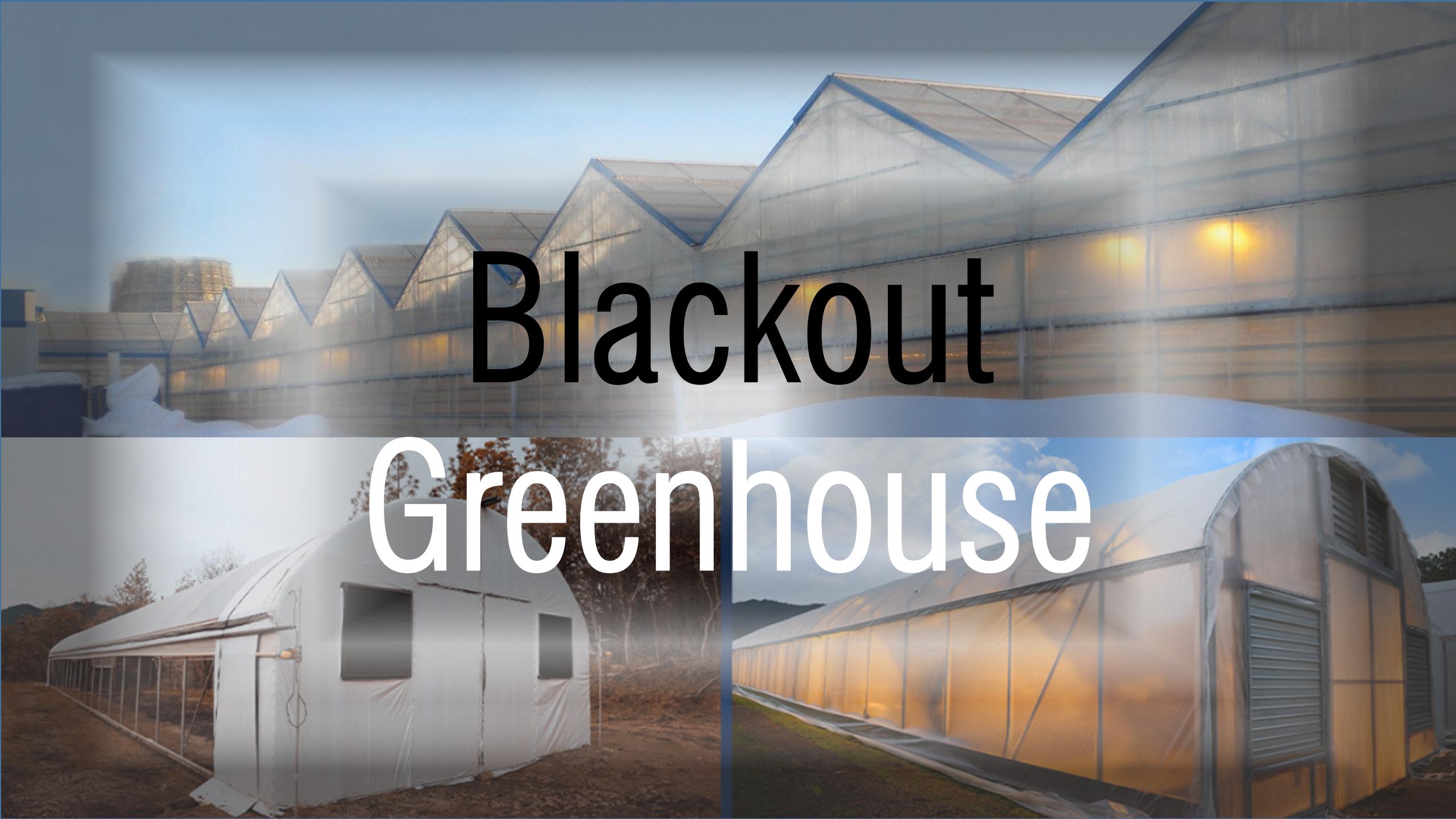 P2-Blackout greenhouse at tradisyonal na greenhouse