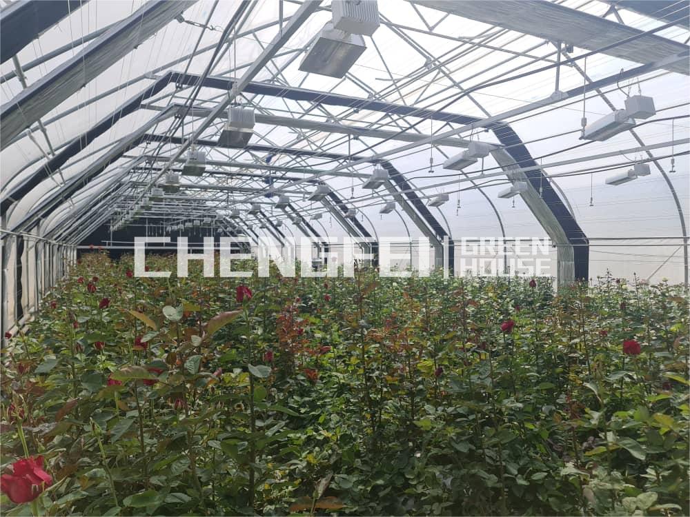 P2-Blackout greenhouse