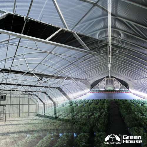 P2-Light deprivation greenhouse