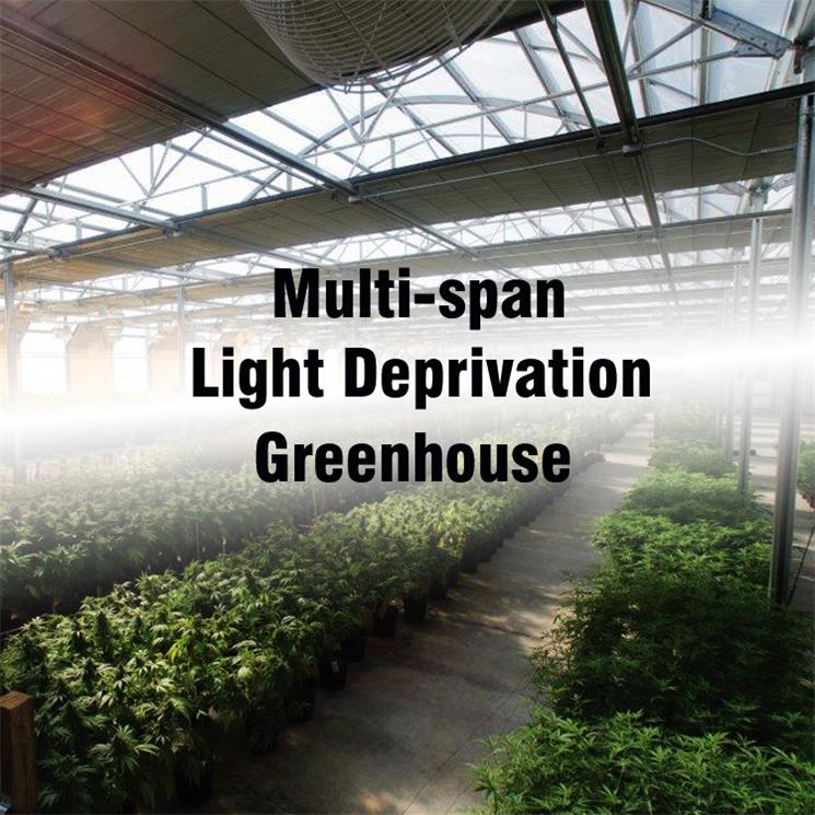 I-P3-light deprivation greenhouse