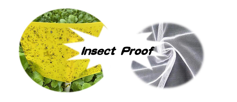 P4--Insect proof net