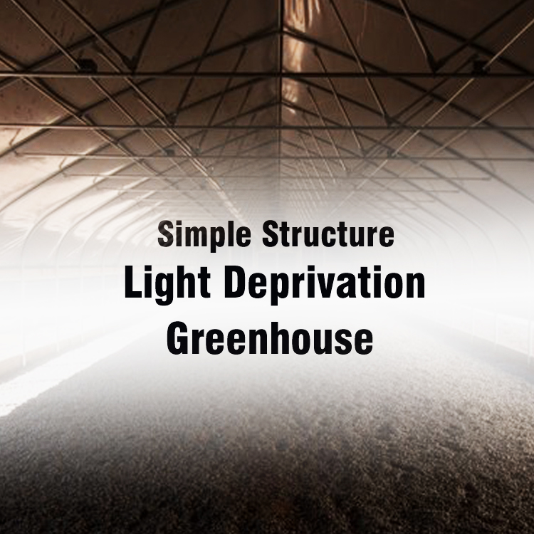 I-P4-light deprivation greenhouse