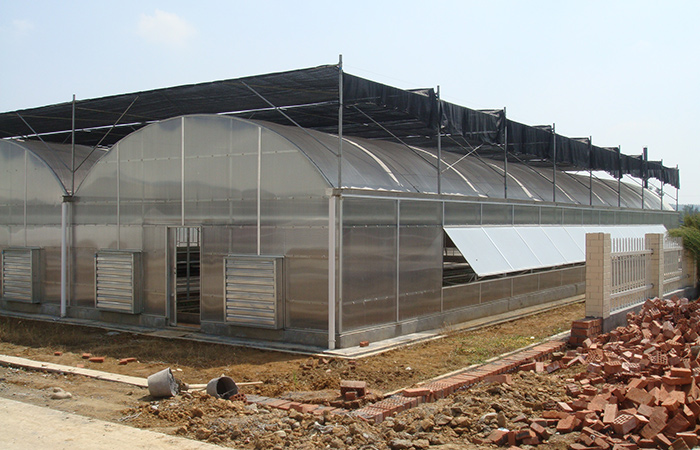 I-PC-ishidi-greenhouse