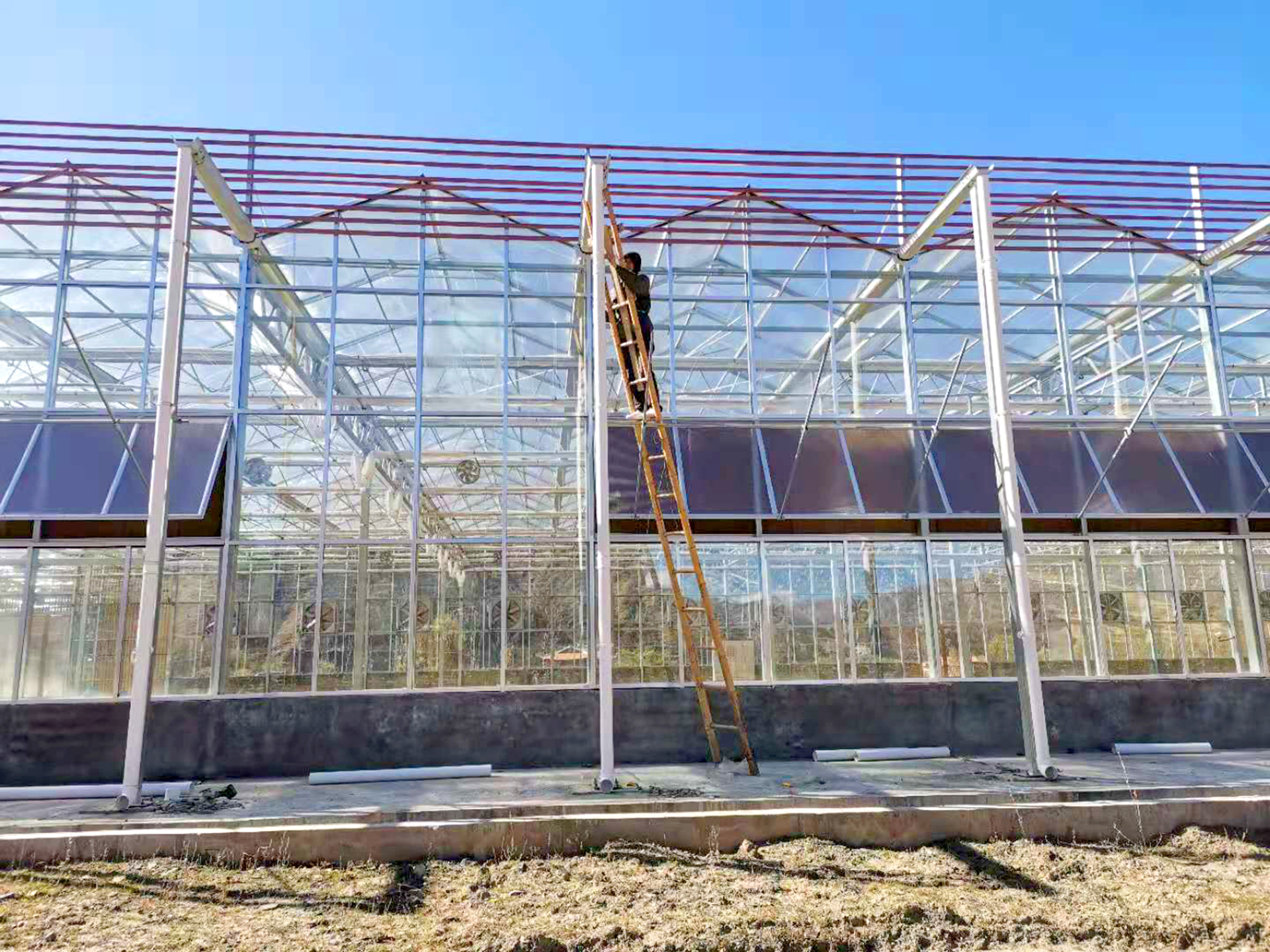 Picture3-Greenhouse-wall-gonna