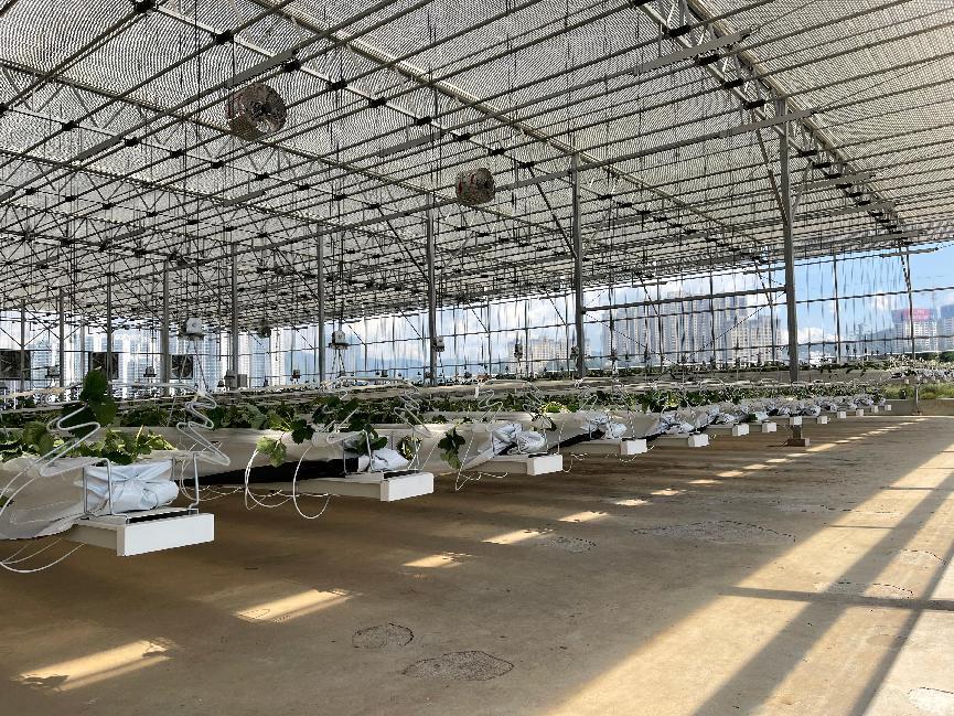 PrecisionAgriculture