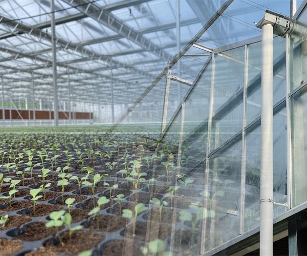 Li-Greenhouses tsa Ridge le Furrow3