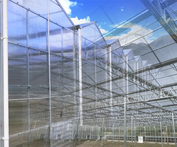 Li-Greenhouses tsa Ridge le Furrow4