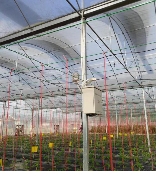 SmartAgriculture