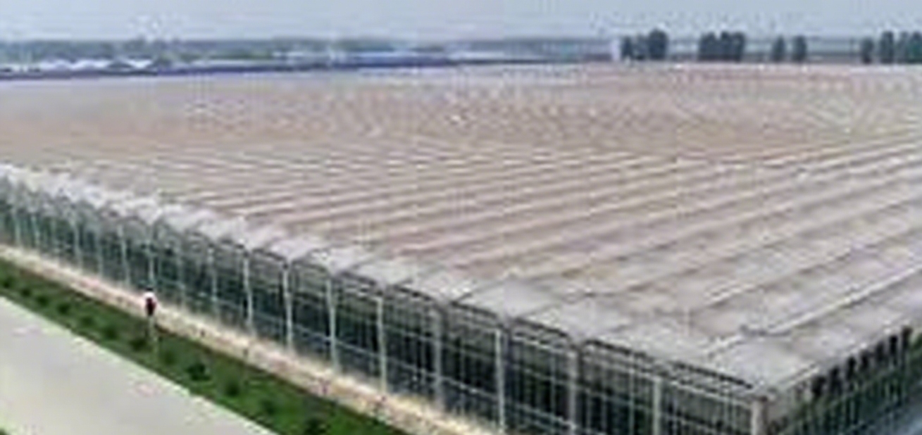 SmartAgriculture