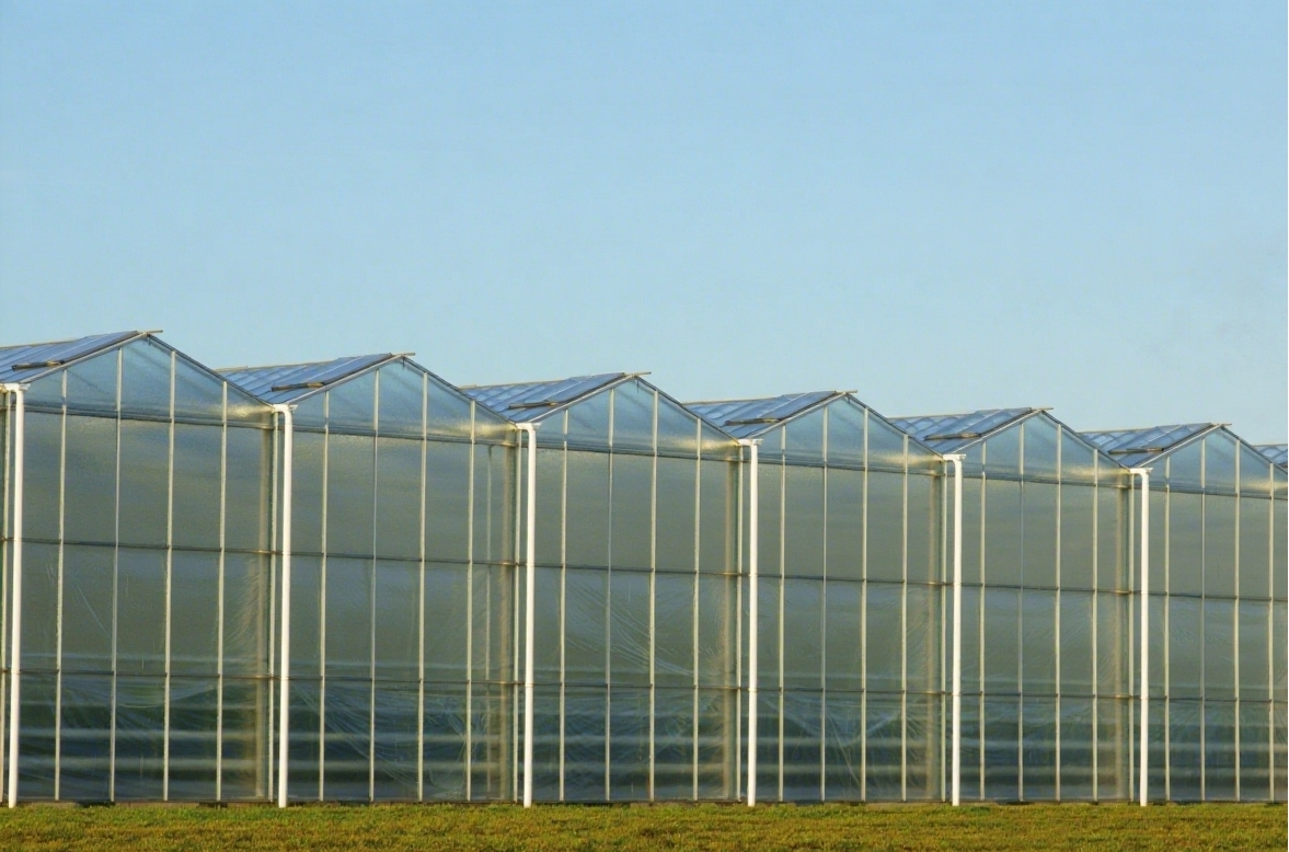 SustainableAgriculture