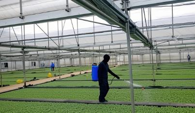 SustainableFarming