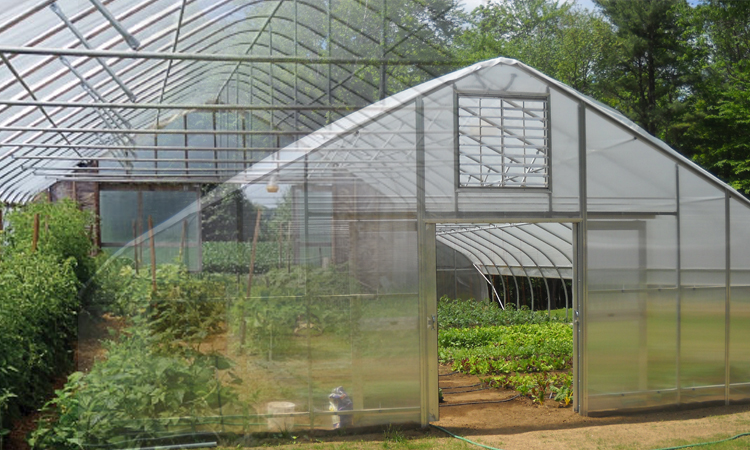 I-Tunnel Greenhouse