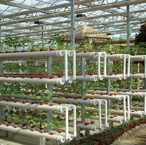 UrbanAgriculture