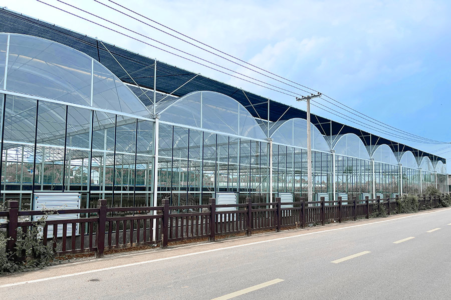 Mboga & Matunda-Greenhouses