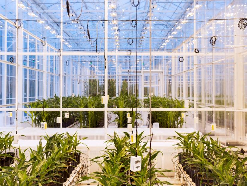 VerticalFarming