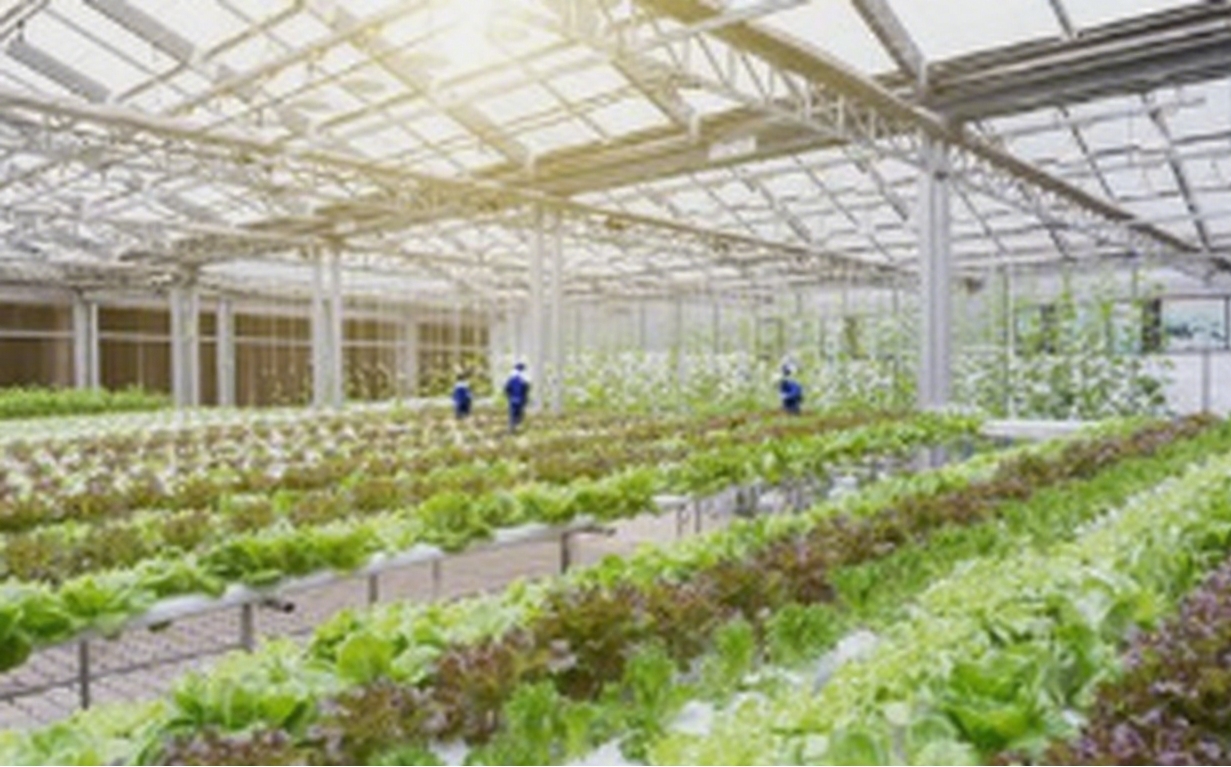 VerticalFarming