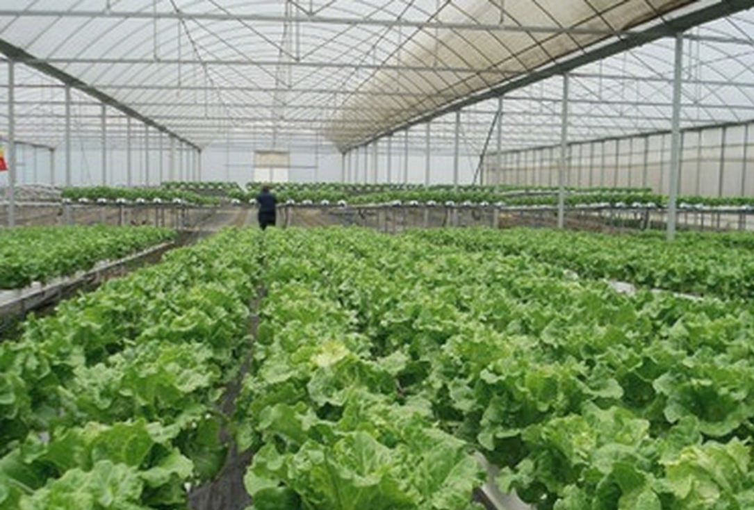 YearRoundProduction