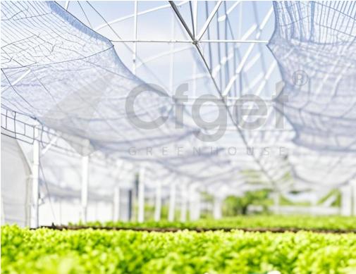 cfgreenhouse