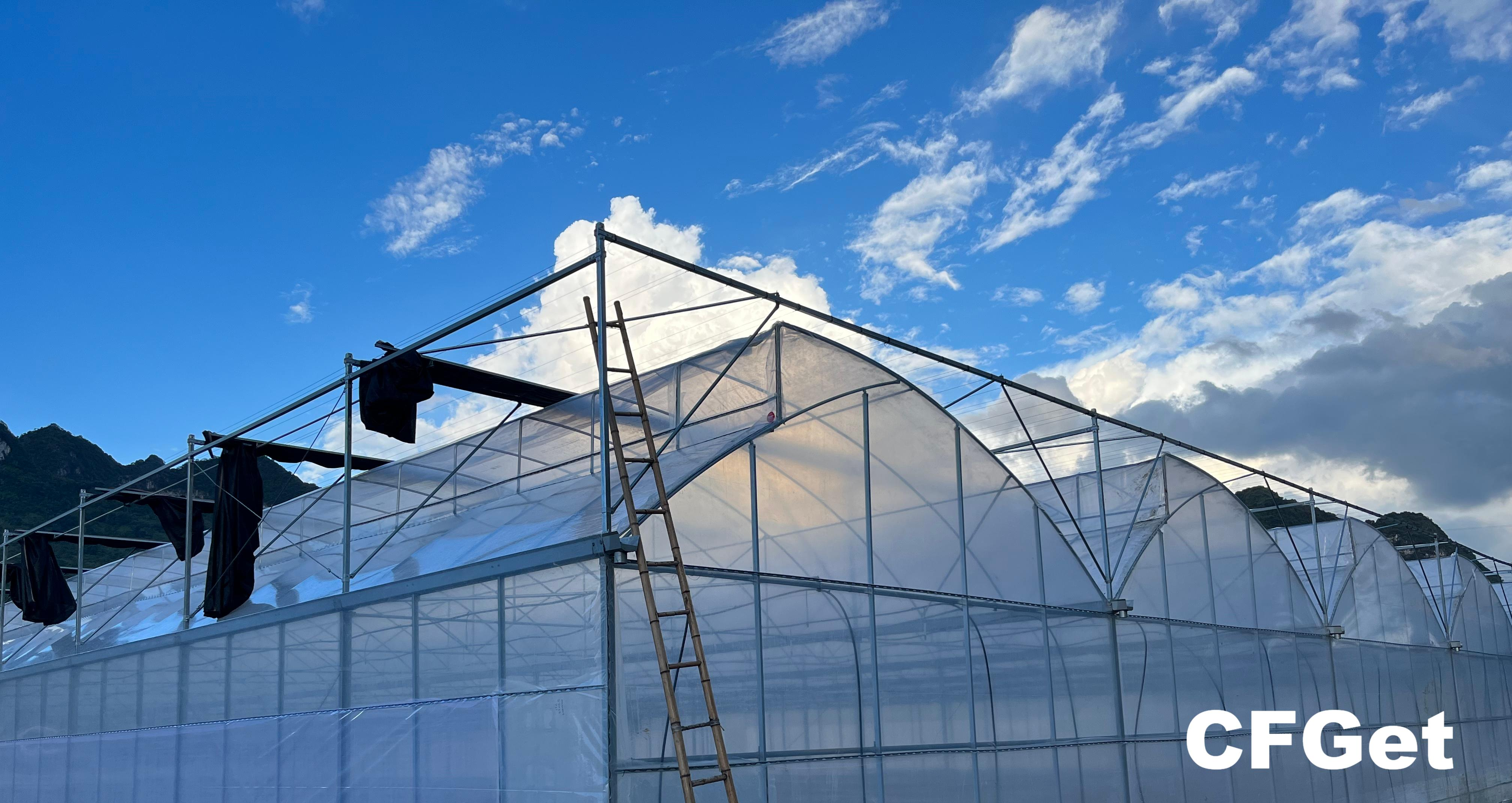 cfgreenhouse