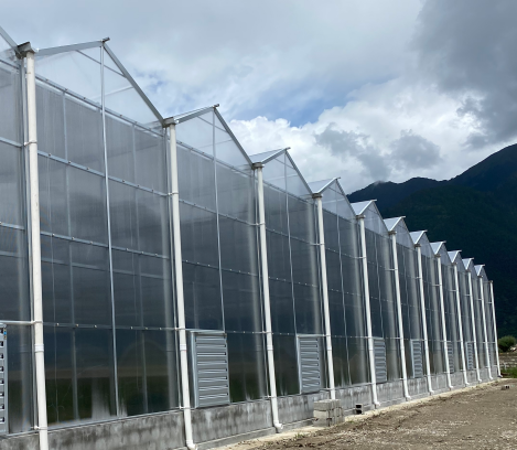 gable roof griya ijo