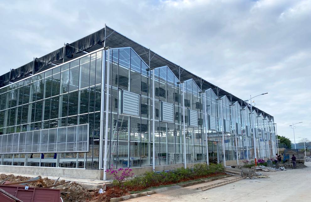 glassgreenhouse