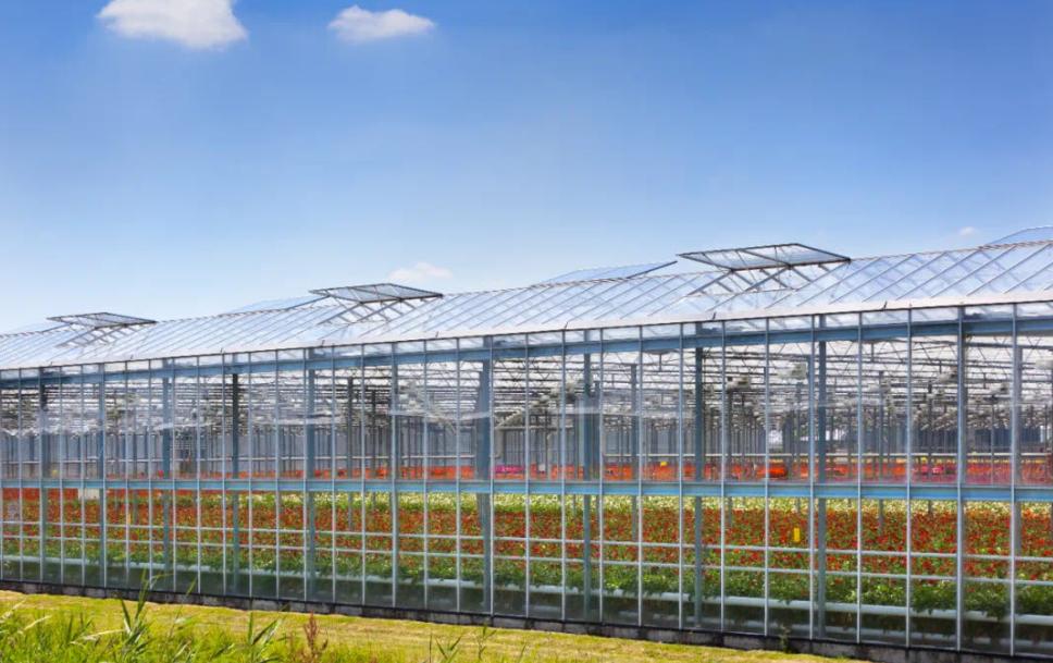 greenagriculture