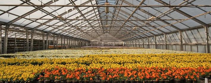 greenhouse manufactured