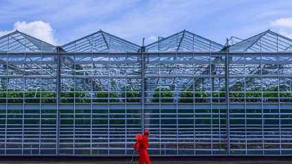 greenhouse manufactured