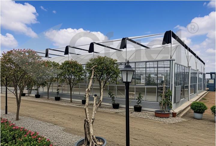 greenhouse