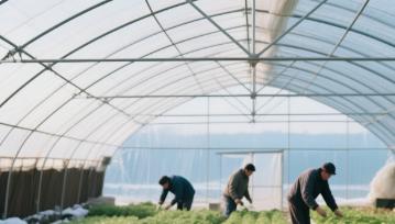 greenhouse