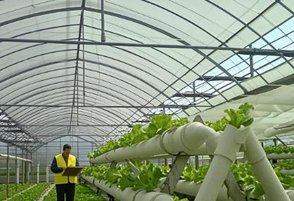 greenhouse