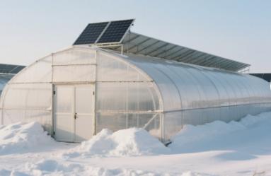 greenhouse