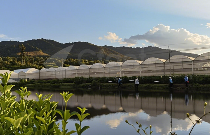 greenhouse