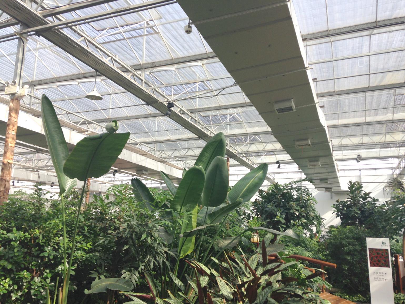 greenhouse