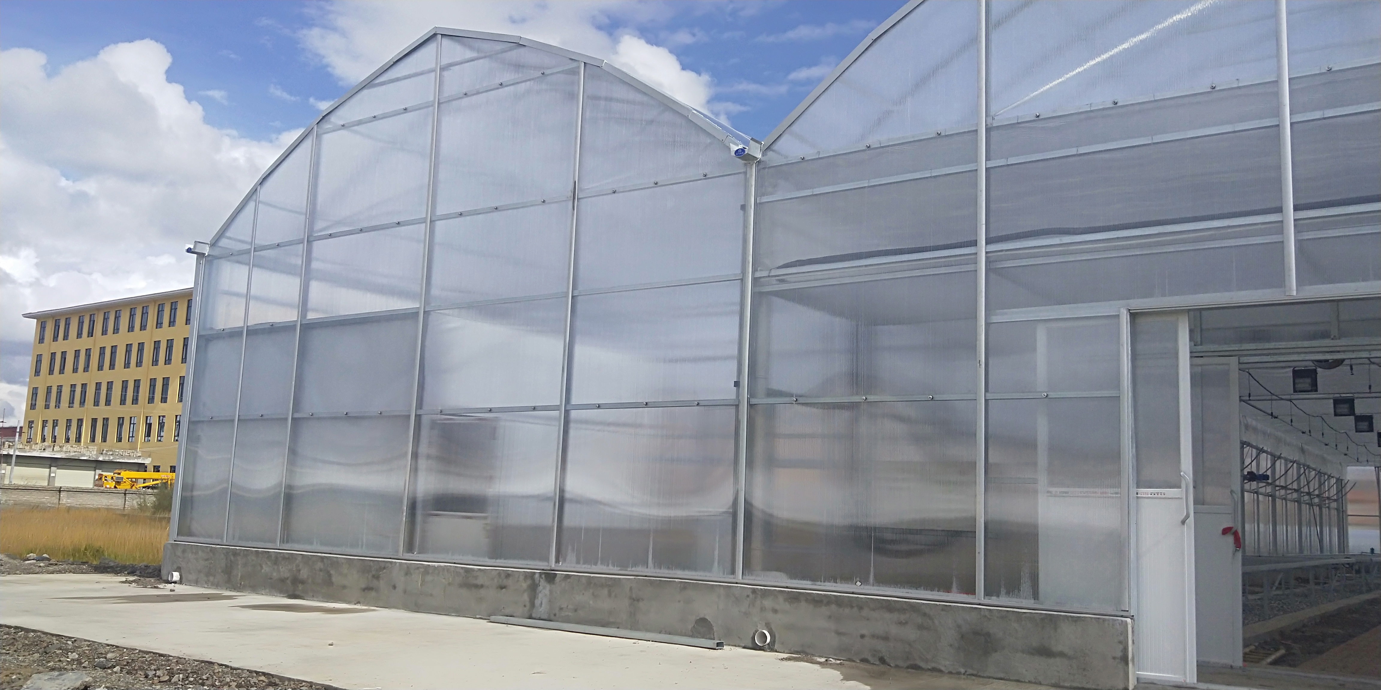 greenhouse